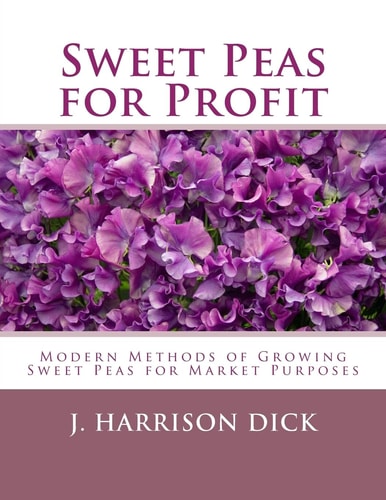 Sweet Peas for Profit Modern Methods of Growing Sweet Peas for Marked Purposes
