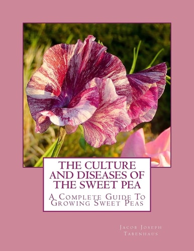The Culture and Diseases of the Sweet Pea A Complete Guide To Growing Sweet Peas