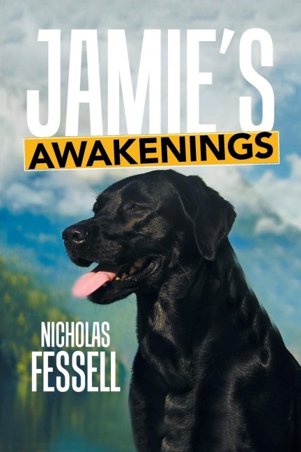 Jamies Awakenings