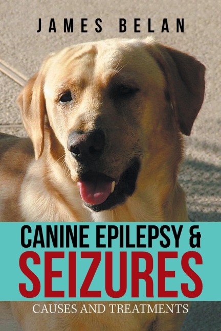 Canine Epilepsy & Seizures: Causes and Treatments