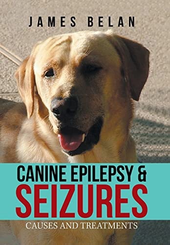 Canine Epilepsy & Seizures Causes and Treatments