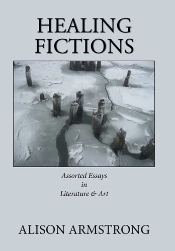Healing Fictions Assorted Essays on Literature & Art