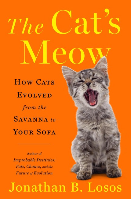 The Cats Meow: How Cats Evolved from the Savanna to Your Sofa