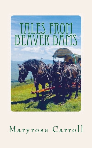 Tales from Beaver Dams What You Don't Know about Appalachian Mountain Life