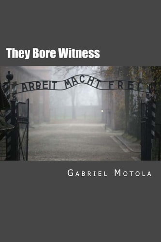 They Bore Witness Critical Essays on Victims of the Holocaust