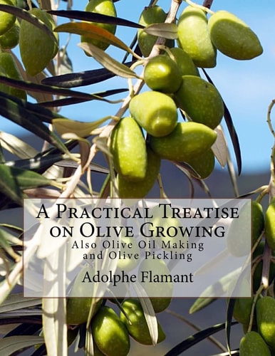 A Practical Treatise on Olive Growing Also Olive Oil Making and Olive Pickling