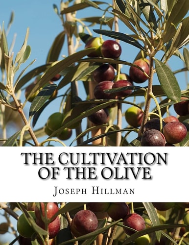 The Cultivation of the Olive A Short Treatise With Special Reference to Fertilization