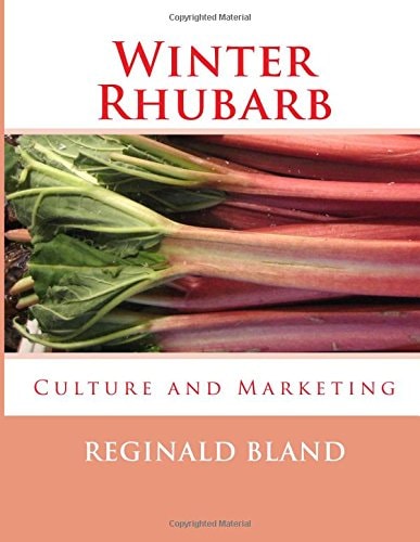 Winter Rhubarb Culture and Marketing