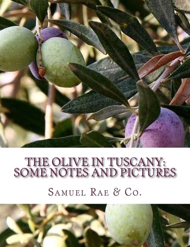 The Olive In Tuscany Some Notes and Pictures