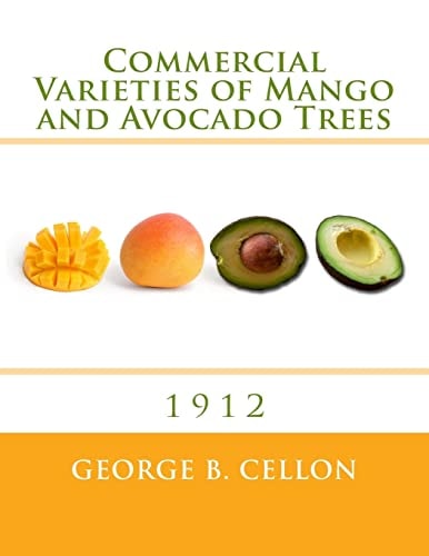Commercial Varieties of Mango and Avocado Trees 1912