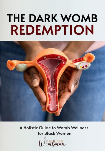 The Dark Womb Redemption A Holistic Guide to Womb Wellness for Black Women.