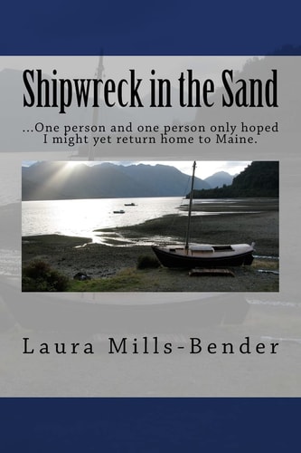 Shipwreck in the Sand