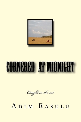 Cornered at Midnight