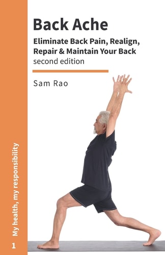 Back Ache Eliminate Back Pain, Realign, Repair and Maintain Your Back