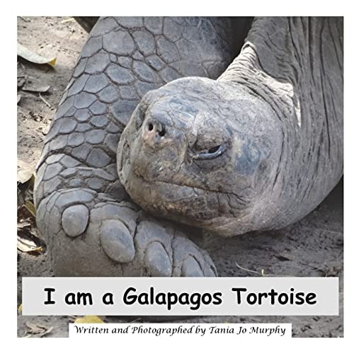 I Am a Galapagos Tortoise