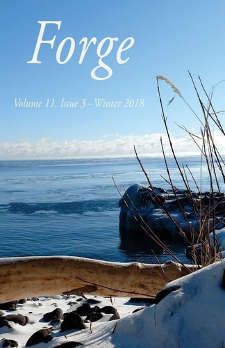 Forge 11. 3