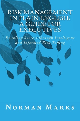 Risk Management in Plain English: a Guide for Executives Enabling Success Through Intelligent and Informed Risk-Taking
