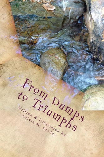 From Dumps to Triumphs A Collection of Poetry