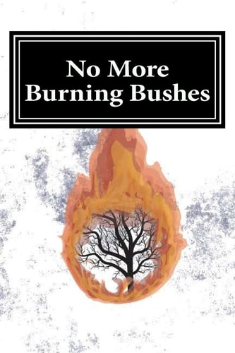 No More Burning Bushes Finding Meaning in the One Time Events of the Bible