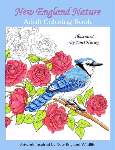 New England Nature Adult Coloring Book