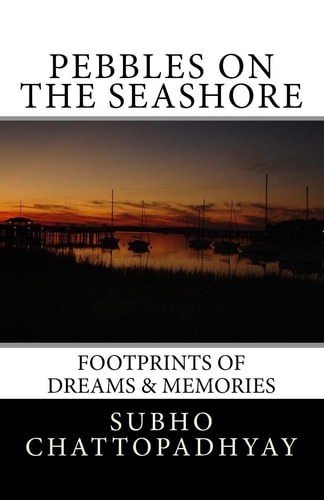 Pebbles on the Seashore Footprints of Dreams and Memories