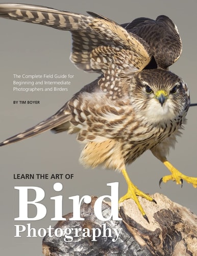 Learn the Art of Bird Photography The Complete Field Guide for Beginning and Intermediate Photographers and Birders