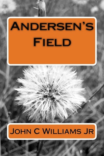 Andersen's Field