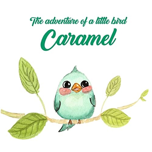 The Adventure of a Little Bird Caramel