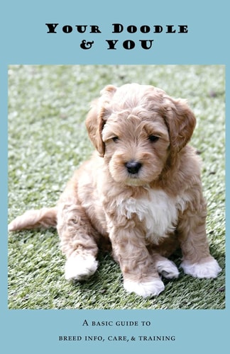Your Doodle and You A Guide to Breed Info, Basic Care and Training