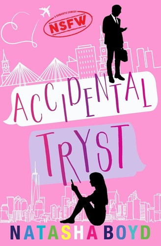 Accidental Tryst A Romantic Comedy