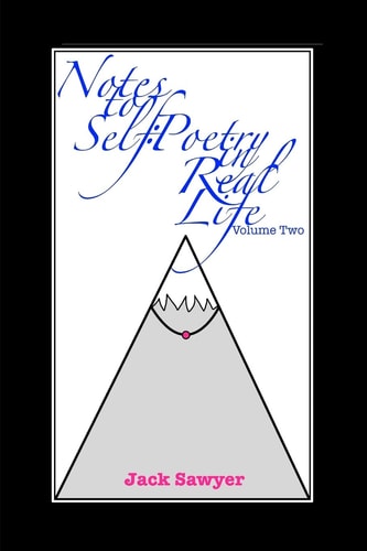 Notes To Self, Volume Two Poetry In Real Life