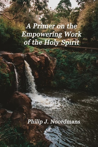 A Primer on the Empowering Work of the Holy Spirit You May Be Charismatic