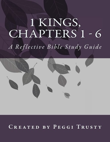 1 Kings, Chapters 1 - 6 A Reflective Bible Study Guide