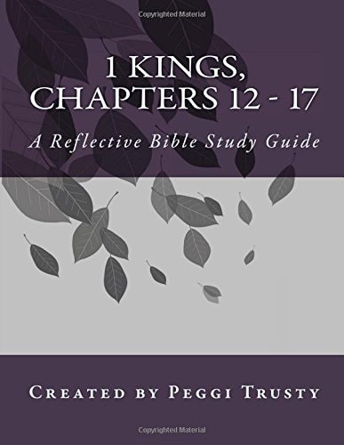 1 Kings, Chapters 12 - 17 A Reflective Bible Study Guide