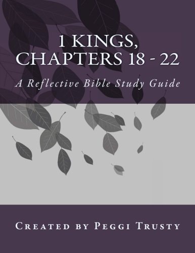 1 Kings, Chapters 18 - 22 A Reflective Bible Study Guide