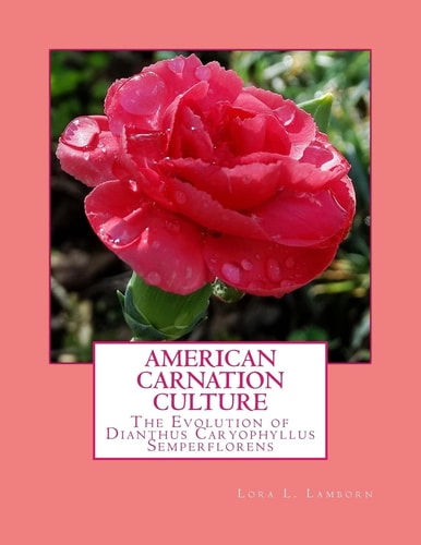 American Carnation Culture The Evolution of Dianthus Caryophyllus Semperflorens