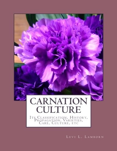 Carnation Culture Its Classification, History, Propagation, Varieties, Care, Culture, Etc