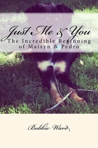 Just Me and You The Incredible Beginning of Maisyn and Pedro