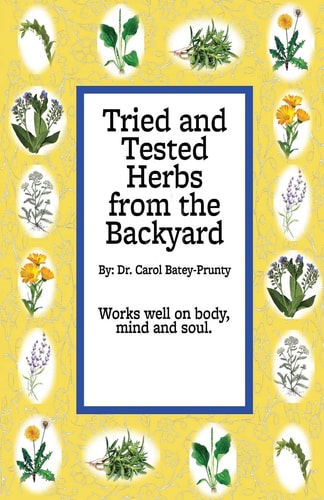 Tried and Tested Herbs from the Backyard Herbs That Can Help You from the Backyard