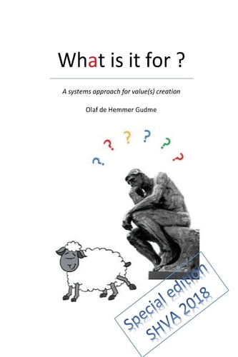 What Is It For ? A System Approach for Value(s) Creation