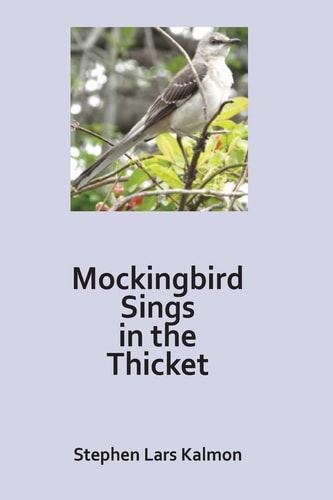 Mockingbird Sings in the Thicket