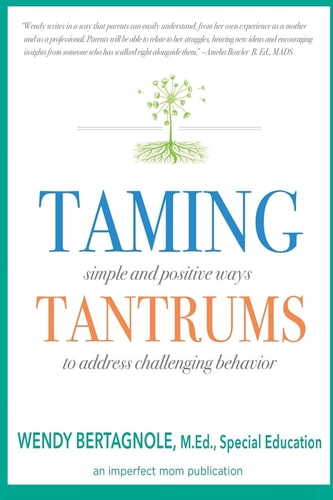 Taming Tantrums Simple and Positive Ways to Address Challenging Behavior