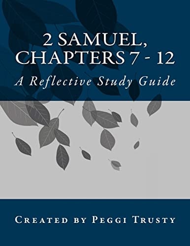 2 Samuel, Chapters 7 - 12 A Reflective Study Guide