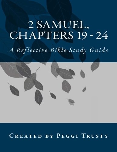 2 Samuel, Chapters 19 - 24 A Reflective Bible Study Guide