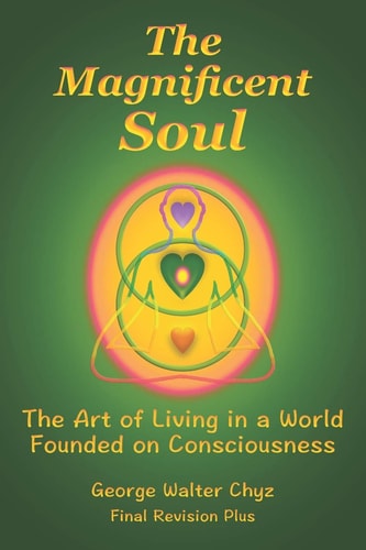 The Magnificent Soul The Art of Living in a World Founded on Consciousness