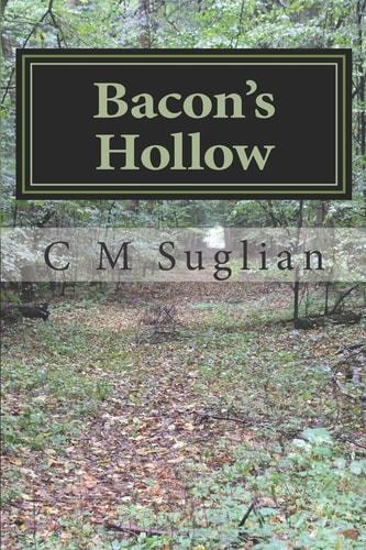 Bacon's Hollow Jake and Junior Adventures
