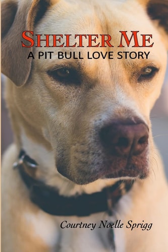 Shelter Me A Pit Bull Love Story