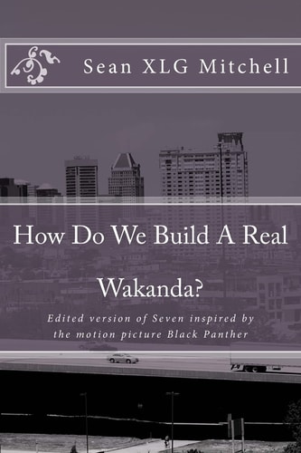 How Do We Build A Real Wakanda? Social Analysis Inspired by the Major Motion Film Black Panther