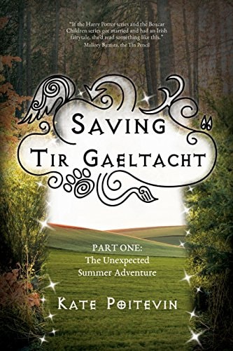 Saving Tir Gaeltacht The Unexpected Summer Adventure