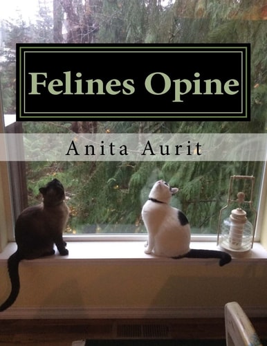 Felines Opine God From A Feline Point of View (A Devotional for Cat Lovers)